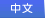 中文