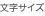 文字サイズ