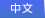中文