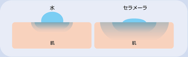 浸透のイメージ
