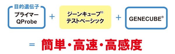 ジーンキューブ テストベーシック