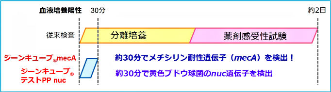 ジーンキューブmecA／ジーンキューブテストPP nuc 検出図