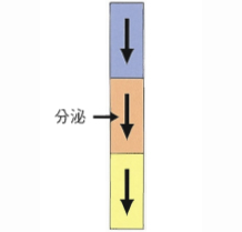 クレアチニンクリアランス