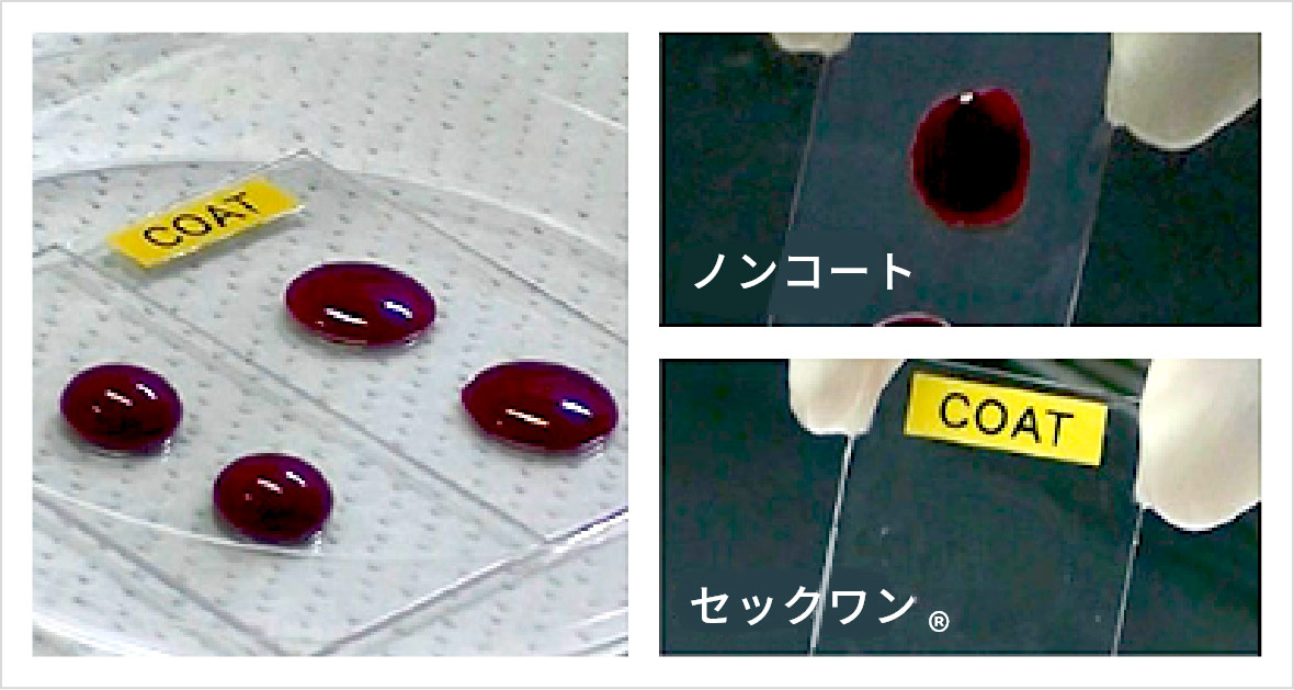血栓形成の評価試験結果：セックワン®をコーティングした基材では血栓の付着がない