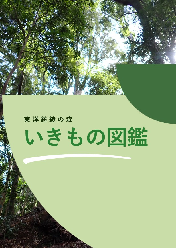 東洋紡 「綾の森」いきもの図鑑