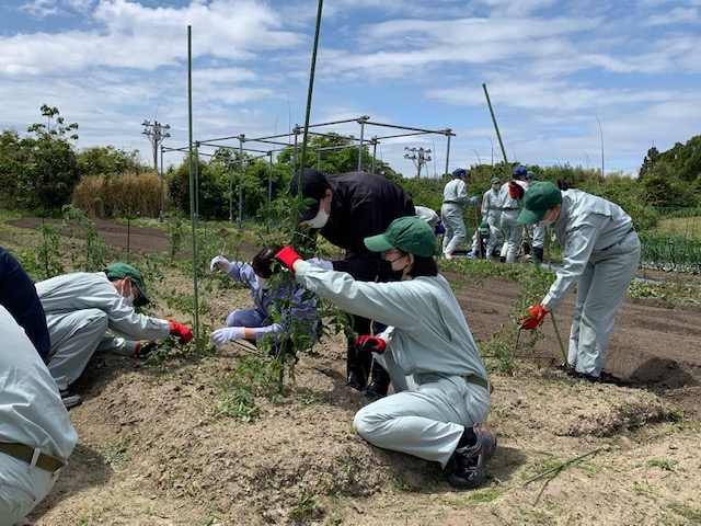 生徒と共に農作業を行っている様子