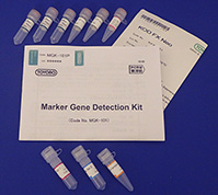 Marker Gene Detection Kit