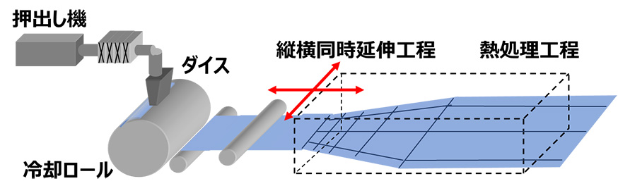 図２．Tダイ同時二軸延伸の概略図