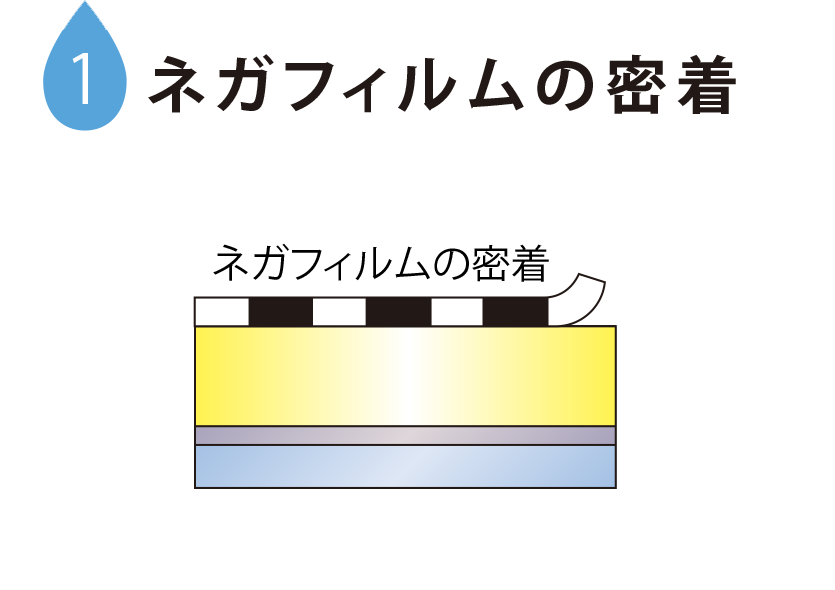 ネガフィルムの密着