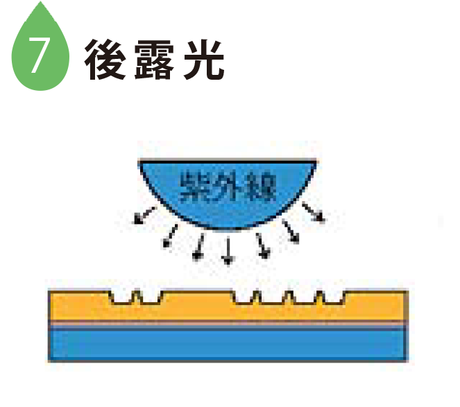 7 後露光