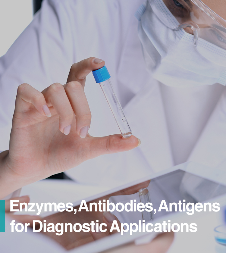 Materials for Diagnostic Applications