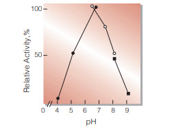 Fig.4. pH-Activity