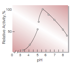 Fig.4. pH-Activity