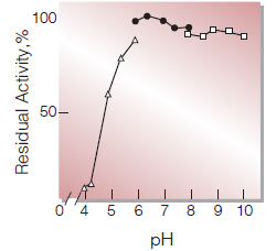 Fig.4. pH-Stability