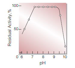 Fig.6. pH-Stability