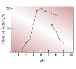 Fig.2. pH-Activity