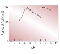 Fig.4. pH-Stability