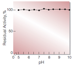 Fig.4. pH-Stability