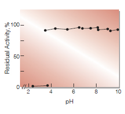 Fig.4. pH-Stability