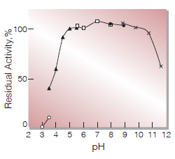 Fig.4. pH-Stability