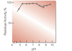 Fig.6. pH-Stability