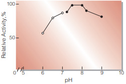 Fig.2. pH-Activity