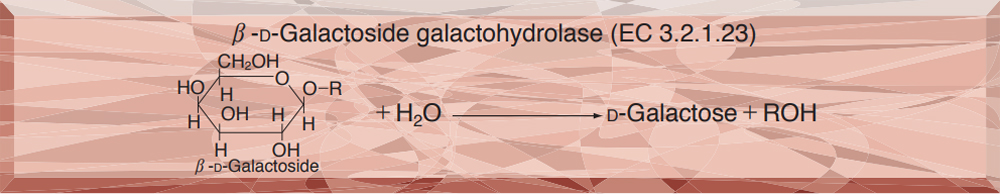 β-GALACTOSIDASE