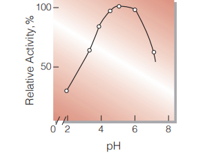 Fig.3. pH-Activity