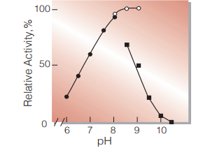 Fig.4. pH-Activity