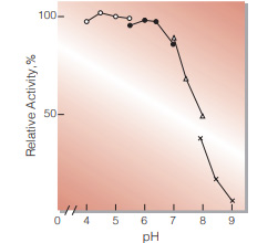 Fig.3. pH-Activity