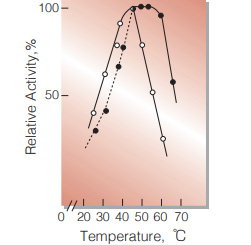 Fig.6. Temperature activity