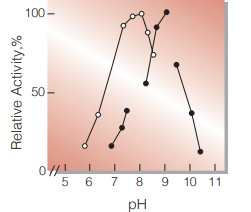 Fig.2. pH-Activity