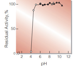 Fig.4. pH-Stability