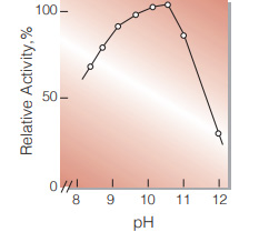 Fig.4. pH-Activity