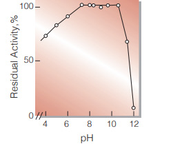 Fig.6. pH-Stability