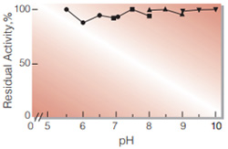 Fig.4. pH-Stability