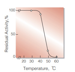 Fig.6. Thermal stability