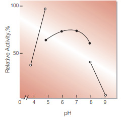 Fig.3. pH-Activity