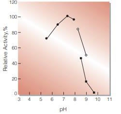 Fig.2. pH-Activity