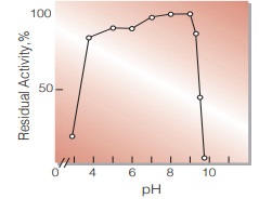 Fig.6. pH-Stability