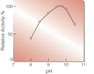 Fig.1 pH-Activity
