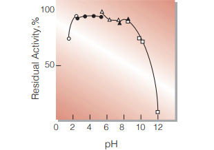 Fig.4. pH-Stability