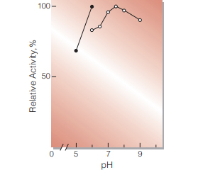 Fig.3. pH-Activity