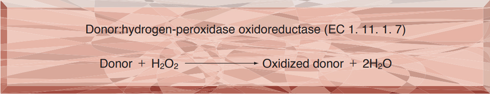 PEROXIDASE