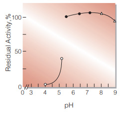 Fig.4. pH-Stability