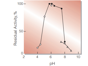 Fig.4. pH-Stability
