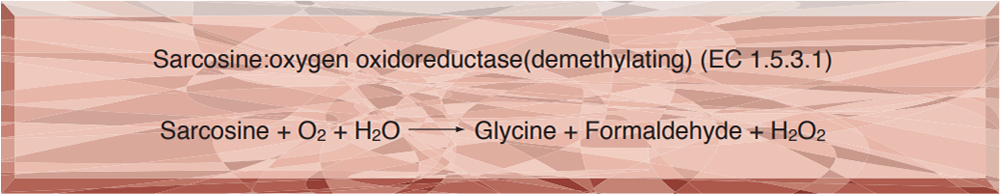 SARCOSINE OXIDASE