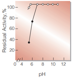 Fig.6. pH-Stability