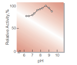 Fig.4. pH-Activity