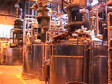 プラントスケール:大型発酵槽(200L~)